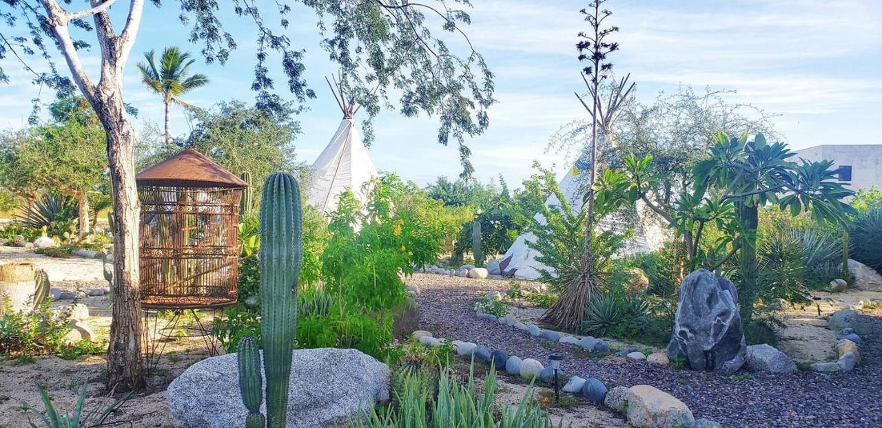 Captain Nemo'S Landing Hotel Los Barriles Bagian luar foto