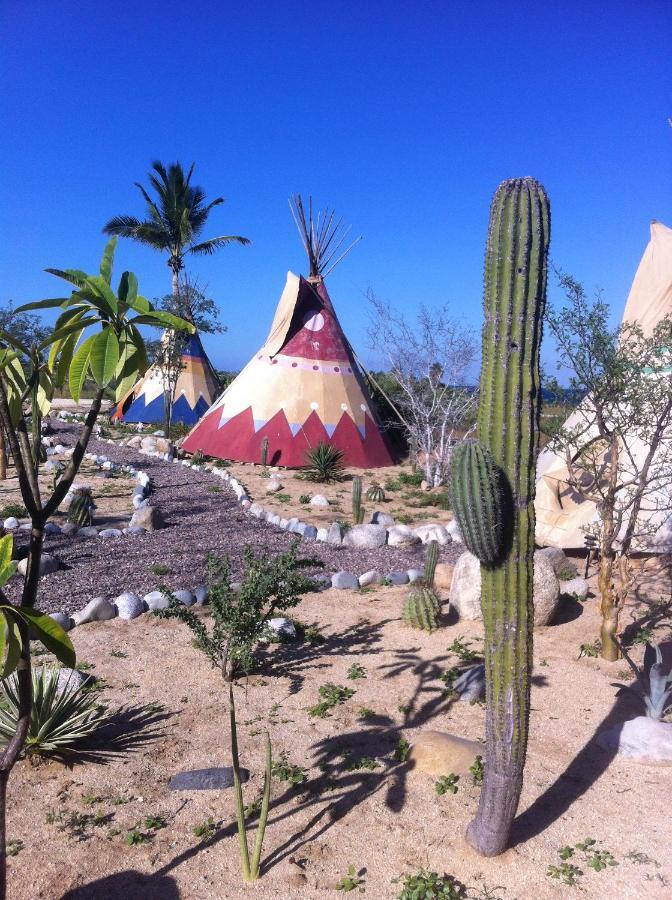 Captain Nemo'S Landing Hotel Los Barriles Bagian luar foto